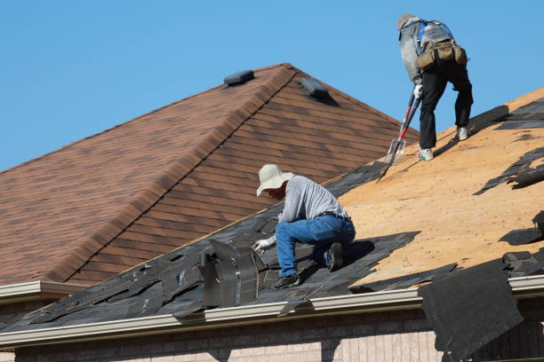 Best Asphalt Shingle Roofing  in Doa Ana, NM